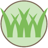 Myrtle Beach Lawn Mowing