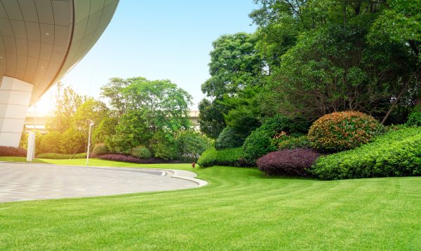 Cost of Commercial Lawn Mowing in Myrtle Beach
