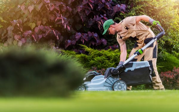 Cost of Lawn Care And Maintenance in Myrtle Beach