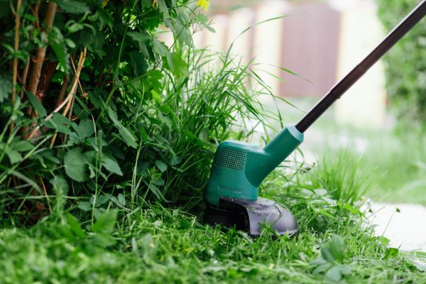 Cost of Weed Whacking in Myrtle Beach
