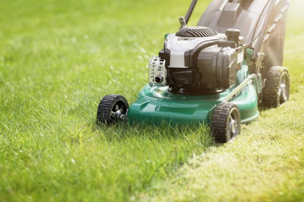 Yard Cutting in Myrtle Beach