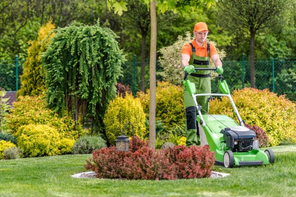 Yard Service in Myrtle Beach
