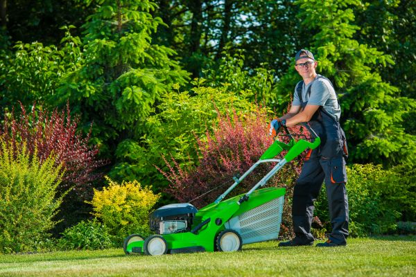 Yard Work Service in Myrtle Beach