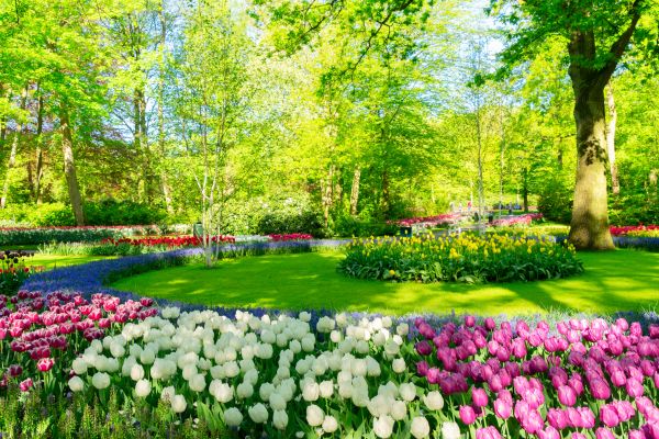 Cost of Spring Lawn Care in Myrtle Beach