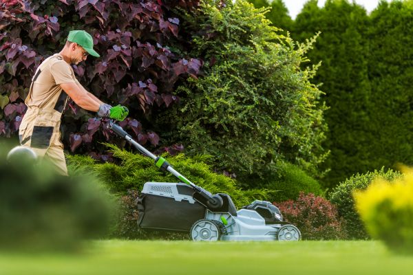 Lawn Management in Myrtle Beach