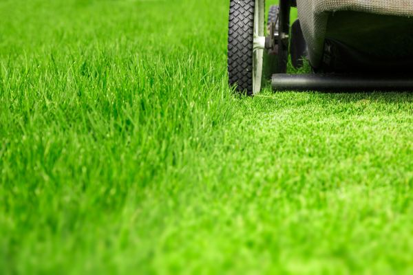 Weekly Lawn Care in Myrtle Beach
