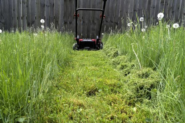 High Grass Mowing in Myrtle Beach