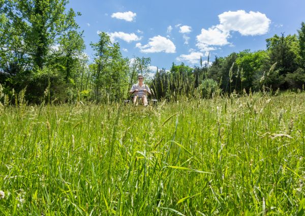 Long Grass Mowing in Myrtle Beach