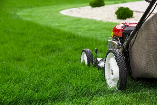 Lawn Trimming in Myrtle Beach