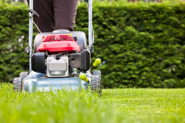 Cost of Grass Trimming Service in Myrtle Beach