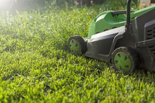 Lot Mowing in Myrtle Beach
