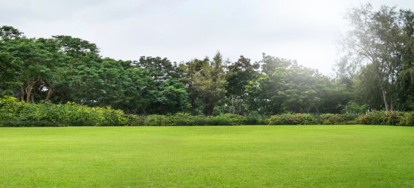 Cost of Golf Course Mowing in Myrtle Beach