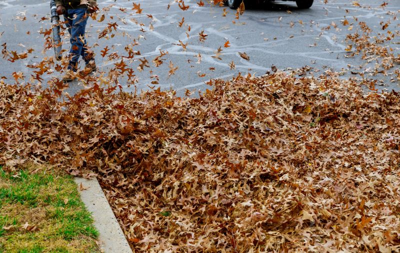 Efficient Leaf Cleanup