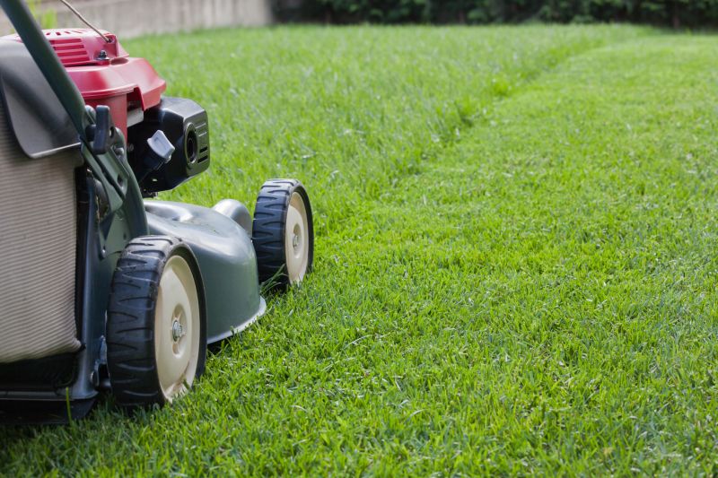 Lawn Care Maintenance
